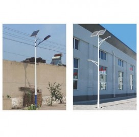TYN-01701 H:6-8m