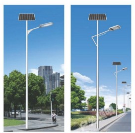 TYN-01501 H:6-8m
