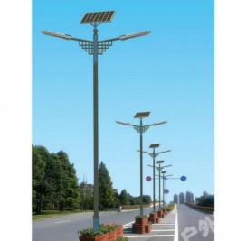 TYN-02001 H:6-8m